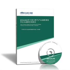 2022-2027年中國天然氣產業(yè)戰(zhàn)略規(guī)劃和企業(yè)戰(zhàn)略咨詢報告