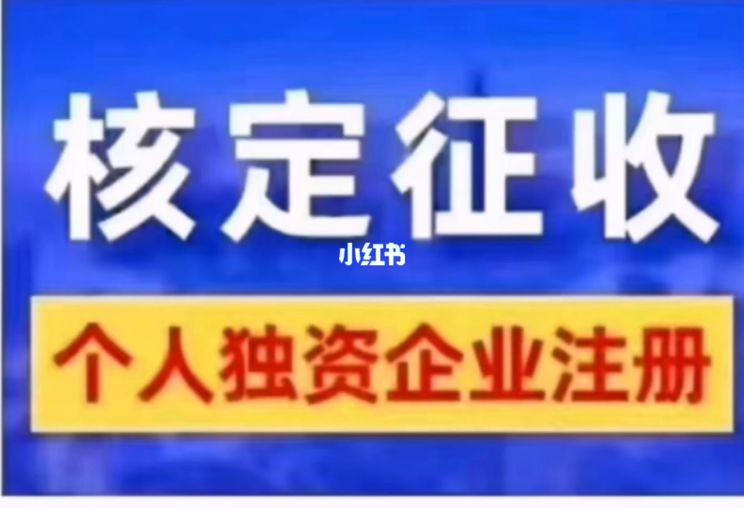 個(gè)人獨(dú)資企業(yè)的稅收籌劃(個(gè)人獨(dú)資 企業(yè)非法人)