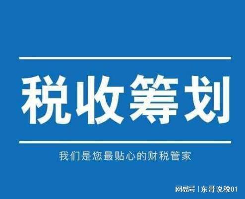 稅務(wù)籌劃如何收費(fèi)(藍(lán)敏稅務(wù)游戲的經(jīng)營(yíng)規(guī)則：做懂稅務(wù)的管理者^(guò)^^稅務(wù)稽查應(yīng)對(duì)與)