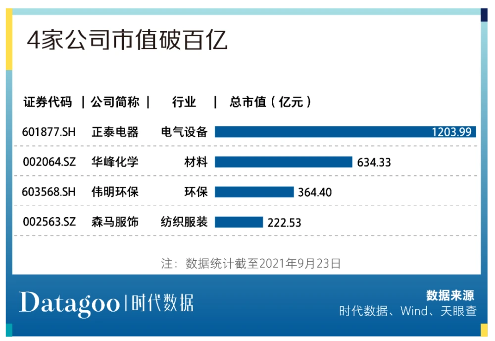 溫州上市公司(溫州主持人馬麗敏上市)(圖10)