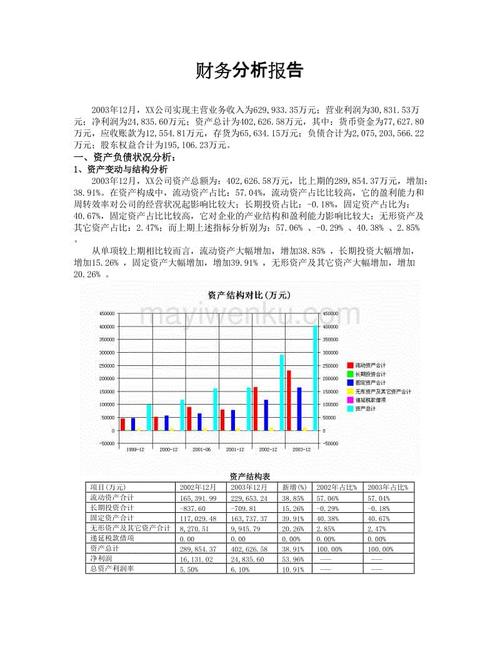 財(cái)務(wù)分析報告怎么寫