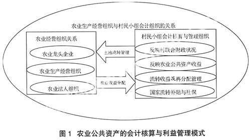 會計核算職能