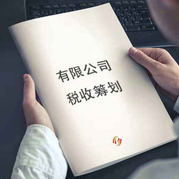 納稅籌劃方案設(shè)計(jì)(企業(yè)納稅籌劃方案設(shè)計(jì)： 理論與現(xiàn)實(shí)的沖突)