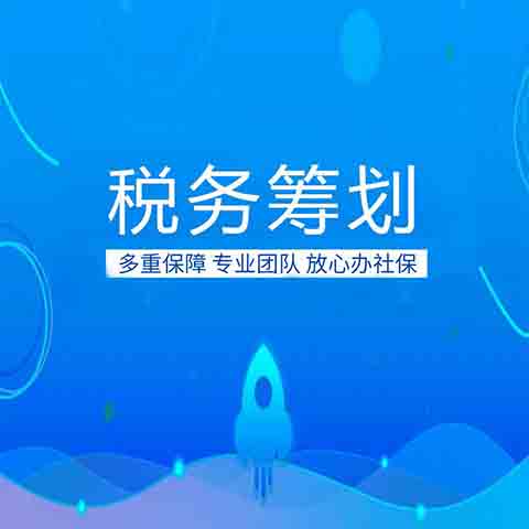 稅務(wù)會(huì)計(jì)與納稅籌劃